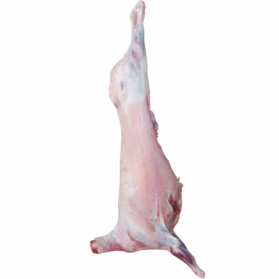 Fresh Whole Mutton Carcass (Pakistan) 9 to 10 KG (Premium Quality)